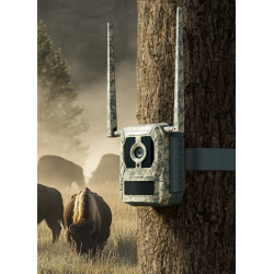 Acheter Reolink S130 caméra chasse 4K? | Livraison rapide