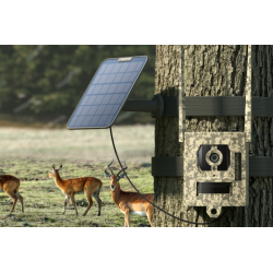 Buy Reolink S130 4K trail camera? | Fast delivery