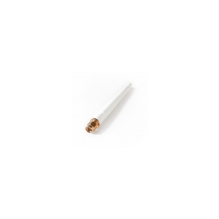 Foscam 2 dBi antenne wit