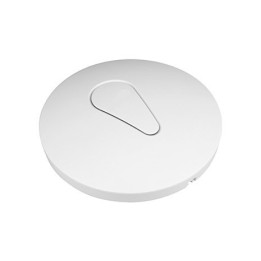 RD-W68AP 300Mbps Ceiling Wireless AP