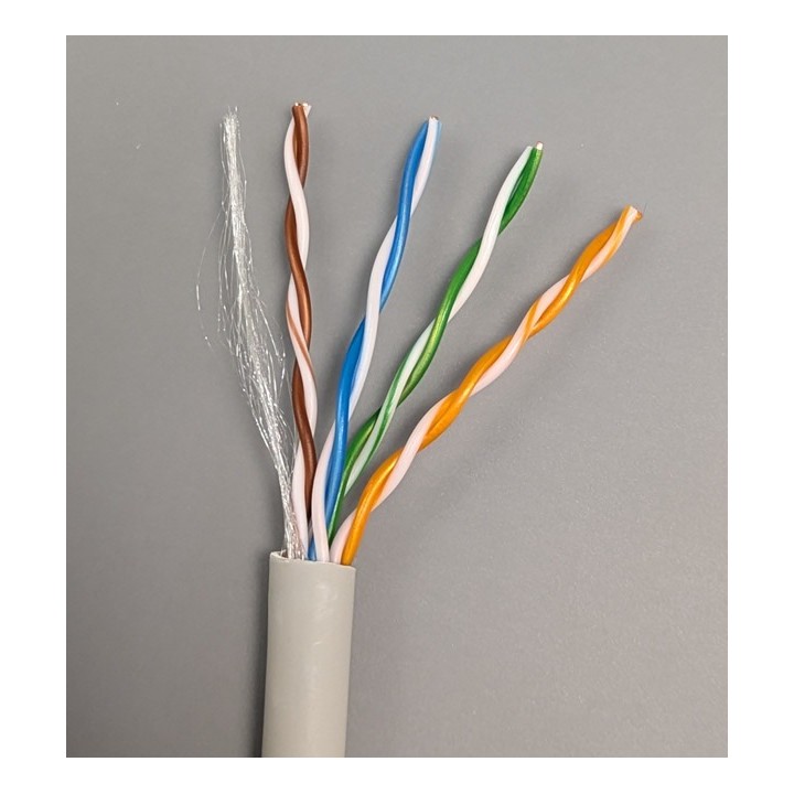 Eupart Câble réseau CAT5e UTP intérieur 305m